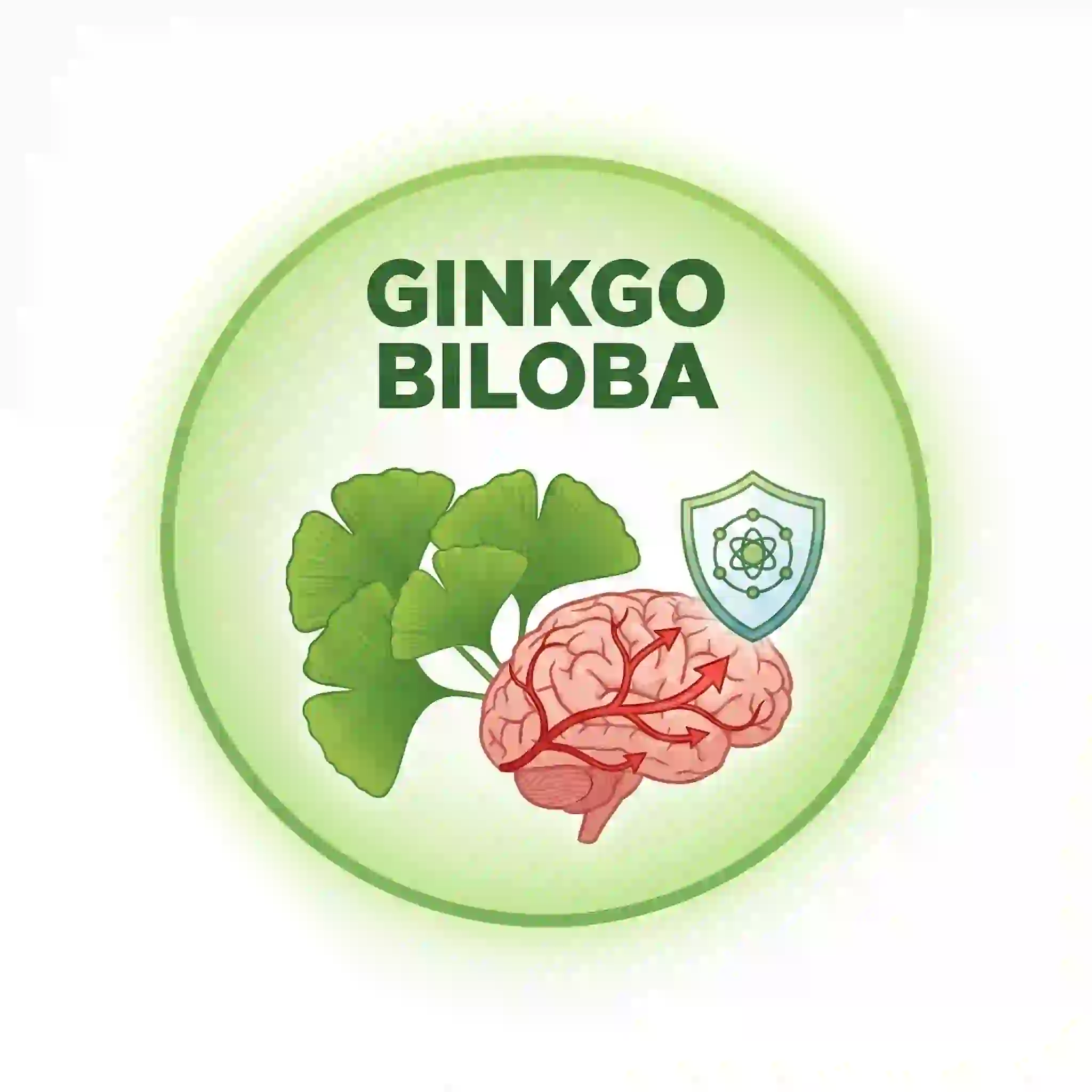 Ginkgo Biloba in Brain Savior for healthy cerebral circulation support