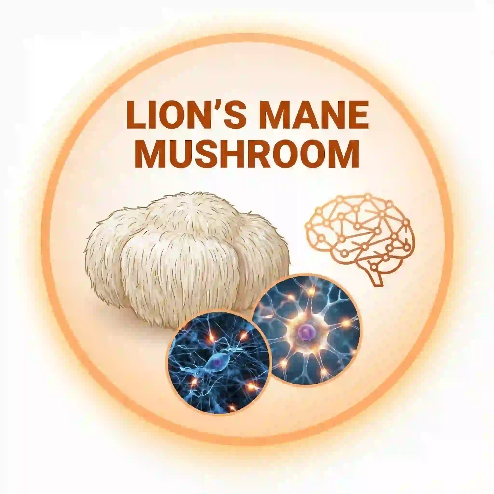 Lion's Mane mushroom extract for Brain Savior cognitive wellness support